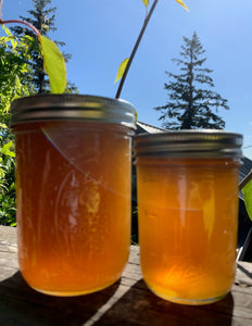 12oz Glass Jar Raw Unfiltered Wild Mountain Honey